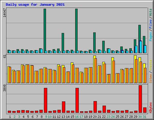 Daily usage for January 2021