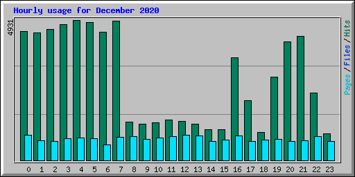 Hourly usage for December 2020