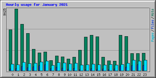 Hourly usage for January 2021