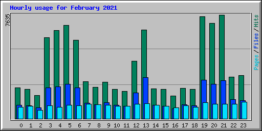 Hourly usage for February 2021