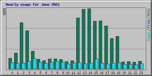 Hourly usage for June 2021