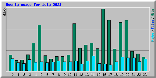 Hourly usage for July 2021