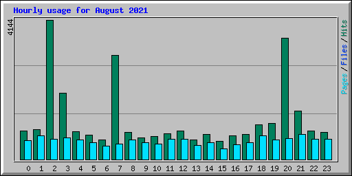 Hourly usage for August 2021