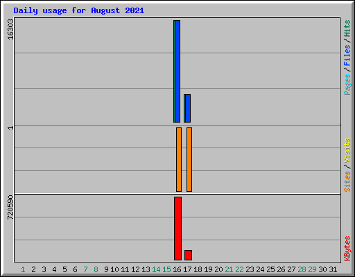 Daily usage for August 2021