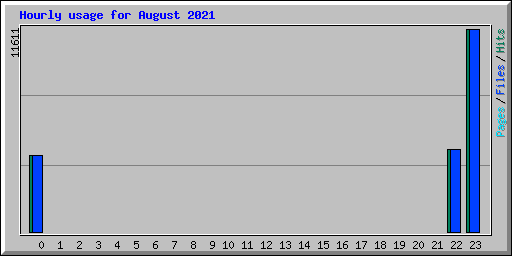 Hourly usage for August 2021